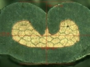 qa3